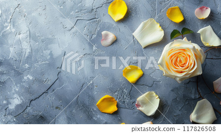 A delicate yellow rose surrounded by scattered petals on a textured gray background A delicate yellow rose surrounded by scattered petals on a textured gray background 117826508