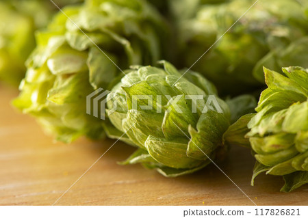 Hops, a beer ingredient with a good aroma 117826821