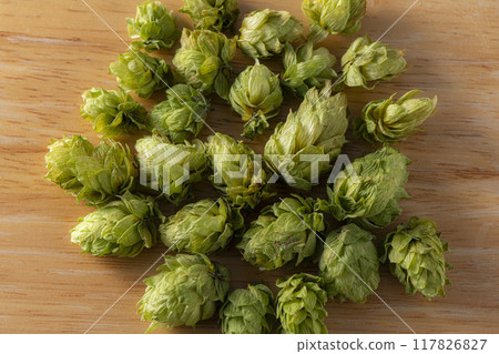 作為啤酒原料具有良好香氣的啤酒花 作為啤酒原料具有良好香氣的啤酒花 117826827
