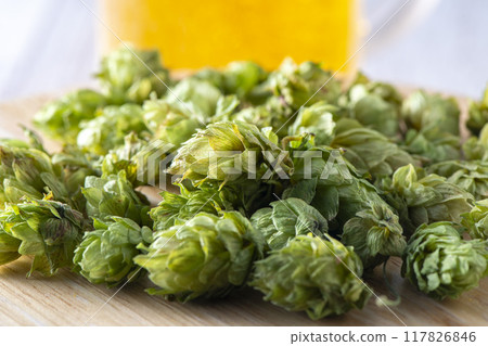 作為啤酒原料具有良好香氣的啤酒花 作為啤酒原料具有良好香氣的啤酒花 117826846