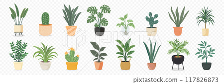Cute Indoor Plants, Flat Vector Set. House Plants in Ceramic Pots, Cups, Basket Planters. Decorative Indoor Plant Collection Isolated on White. Colorful Houseplant Design Illustration 117826873
