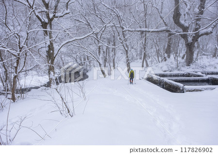 雪鞋健行圖片：大山木澤溪流 117826902