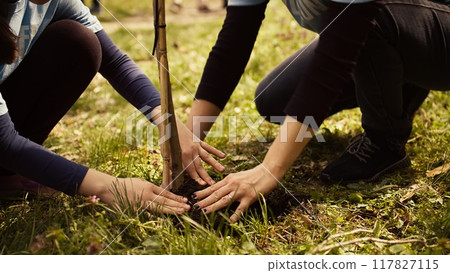 Safeguarding ecologic balance and natural environment, mother and child collaborate on planting trees in the forest. Activists dig holes for sprouts, supports sustainable lifestyle. Camera B. 117827115