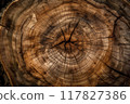 log Wooden texture. Wood background, laminate and parquet background. 117827386