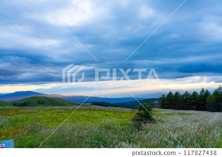 [Angel's Ladder] Angel's Ladder as seen from Kirigamine Plateau [Nagano Prefecture] 117827438