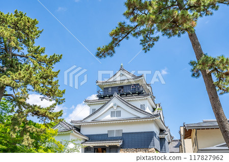 The white Okazaki Castle tower, the birthplace of the divine lord Tokugawa Ieyasu, the symbol of Okazaki City, and the legend of the dragon, Ryuga Castle The white Okazaki Castle tower, the birthplace of the divine lord Tokugawa Ieyasu, the symbol of Okazaki City, and the legend of the dragon, Ryuga Castle 117827962