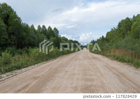 Long straight road in the forest Long straight road in the forest 117828429