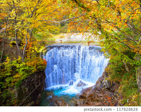 Autumn leaves and Yubuki waterfall Autumn leaves and Yubuki waterfall 117828628
