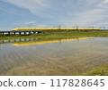 Doctor Yellow reflected in rice paddies 117828645