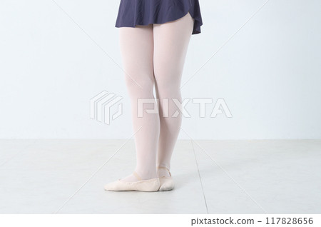 芭蕾舞腿 芭蕾舞腿 117828656