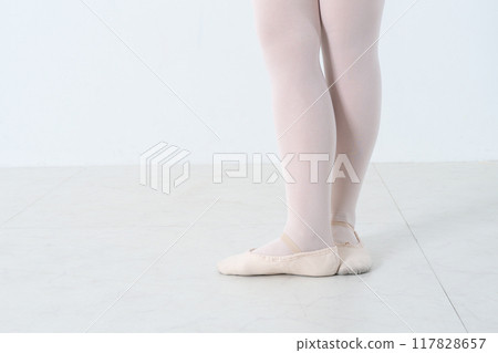 芭蕾舞腿和芭蕾舞鞋 芭蕾舞腿和芭蕾舞鞋 117828657