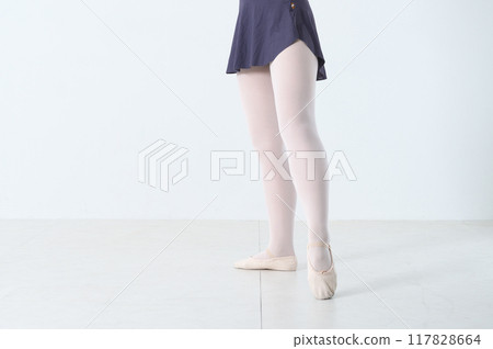 芭蕾舞腿 芭蕾舞腿 117828664