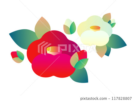 紅白山茶花插畫素材 117828807