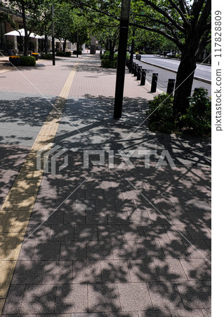 有街道樹的邊路 117828809