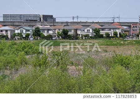 Residential area scenery 117828853