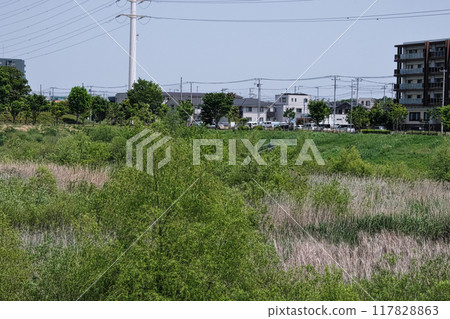 Residential area scenery 117828863