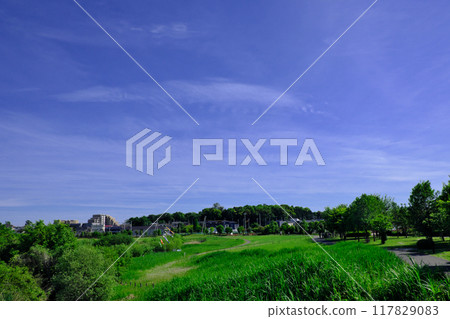 Refreshing blue sky and the landscape of the city 117829083