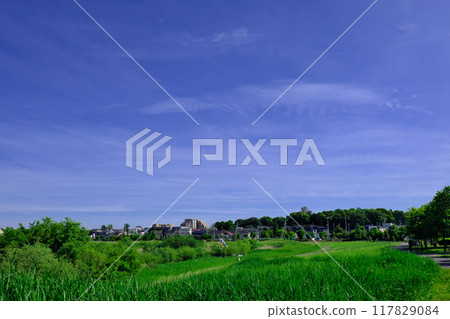 Refreshing blue sky and the landscape of the city 117829084