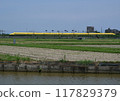 Doctor Yellow sprints 117829379