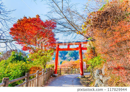 Tokyo: Musashi Mitake Shrine in autumn colors: Red torii gates on the approach 117829944