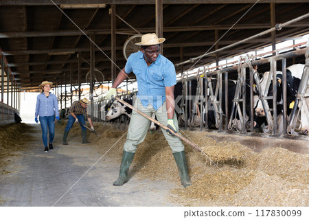 Portrait of farmers labored in a cowshed Portrait of farmers labored in a cowshed 117830099