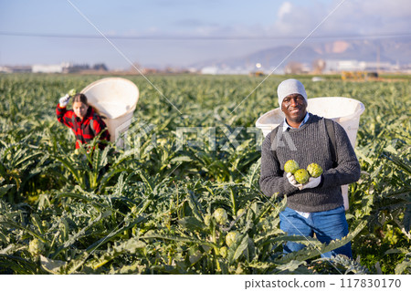 Portrait of an african american man farmer with artichokes 117830170