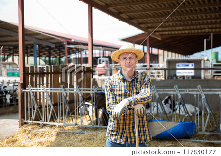 Male farmer posing at cowshed on farm Male farmer posing at cowshed on farm 117830177