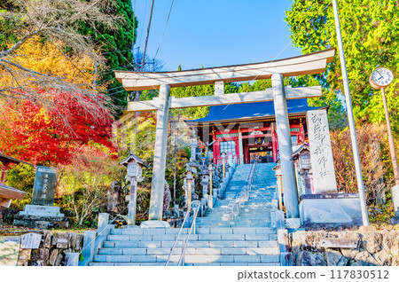 東京的武藏禦岳神社、三鳥居和醉心門都染上了秋葉 117830512