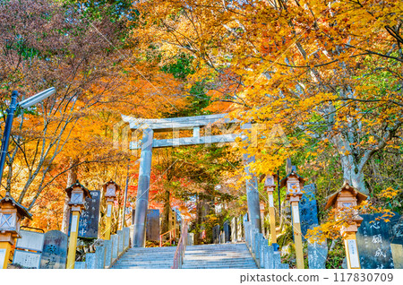 Tokyo Musashi Mitake Shrine in autumn colors: Misty Misaka torii gate Tokyo Musashi Mitake Shrine in autumn colors: Misty Misaka torii gate 117830709