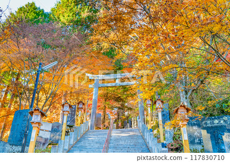 東京秋葉染紅的武藏禦岳神社，霧氣濛濛的御坂鳥居 117830710