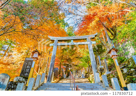 Tokyo Musashi Mitake Shrine in autumn colors: Misty Misaka torii gate 117830712