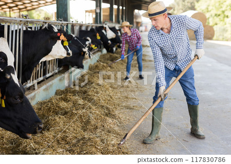 Portrait of male farmer working in cowshed 117830786