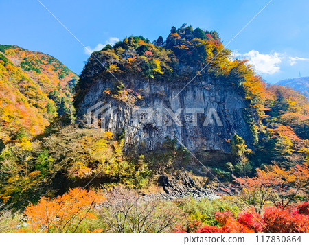 Ganryukyo Gorge (Autumn) Ganryukyo Gorge (Autumn) 117830864