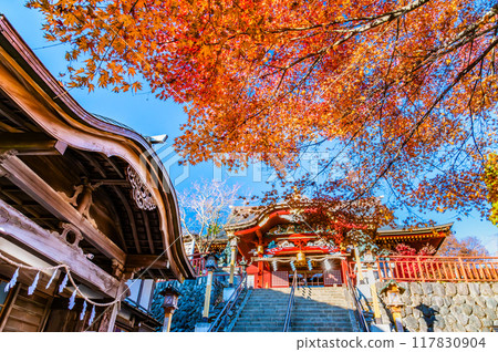 Tokyo: Musashi Mitake Shrine's worship hall dyed in autumn leaves Tokyo: Musashi Mitake Shrine's worship hall dyed in autumn leaves 117830904