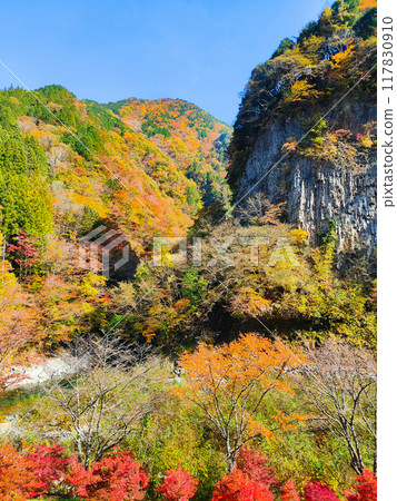 Ganryukyo Gorge (Autumn) Ganryukyo Gorge (Autumn) 117830910