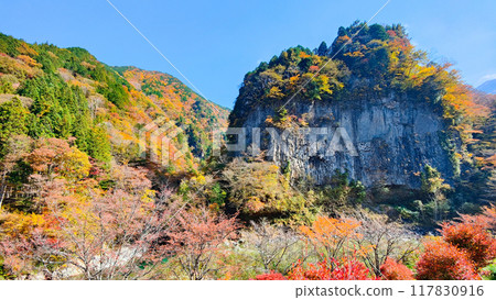 Ganryukyo Gorge (Autumn) Ganryukyo Gorge (Autumn) 117830916