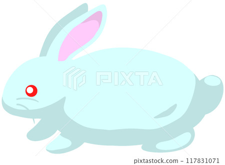 紐西蘭白 117831071