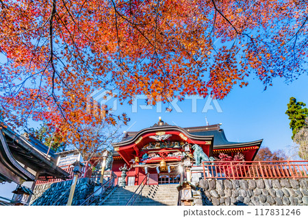 東京武藏禦岳神社平殿及參拜堂染上秋葉 東京武藏禦岳神社平殿及參拜堂染上秋葉 117831246