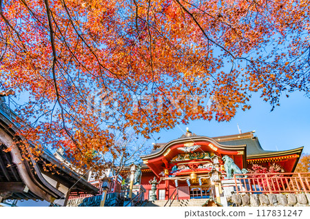 Tokyo Musashi Mitake Shrine in autumn colors: Heiden and Haiden 117831247