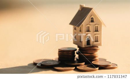 a small house model is placed on a pile 117831347