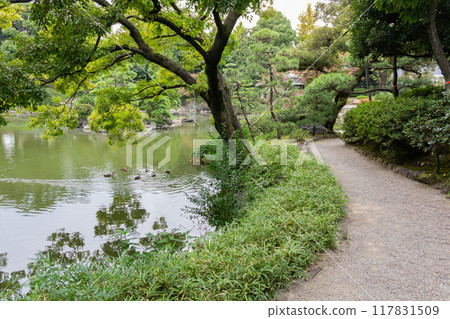 Japanese Garden, Former Yasuda Garden, Pond and Pathway with Fresh Greenery 117831509
