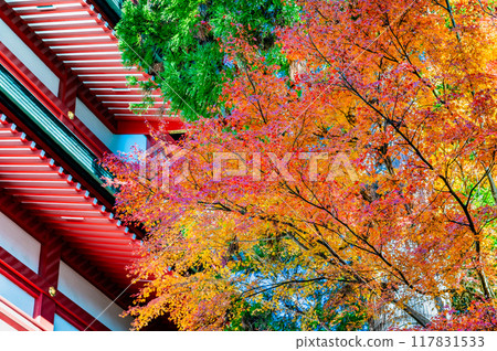 Tokyo Musashi Mitake Shrine Treasure Hall dyed in autumn leaves 117831533