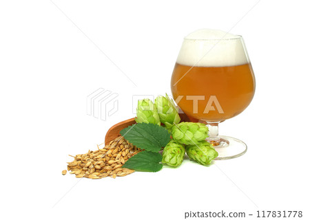 Glass of craft beer paired with fresh hops and barley isolated on white background Glass of craft beer paired with fresh hops and barley isolated on white background 117831778