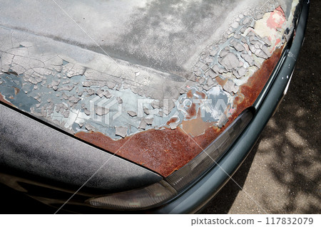 Old car hood 3 117832079