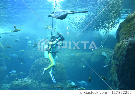 Diving scenery 117832293