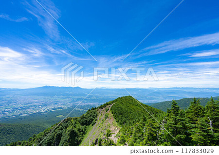 [山素材]夏天從富美頭上看到的善光寺廣場[長野縣] 117833029