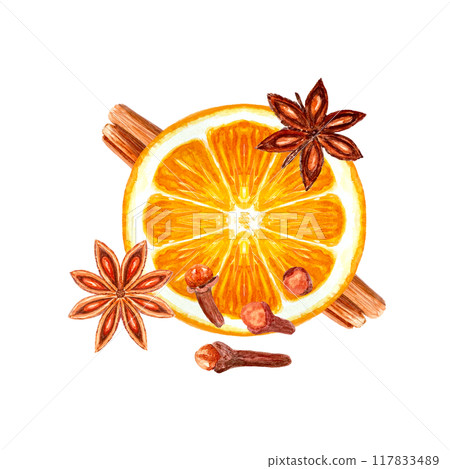 Slice of orange with cinnamon, star anise, cloves watercolor composition isolated on white. High quality hand drawn art with detailed texture. Perfect for culinary, menu, food logo, Christmas design Slice of orange with cinnamon, star anise, cloves watercolor composition isolated on white. High quality hand drawn art with detailed texture. Perfect for culinary, menu, food logo, Christmas design 117833489