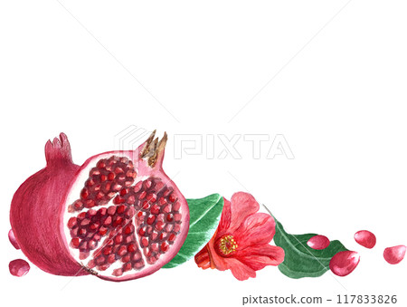 Red pomegranate with seeds, flower and green leafs detailed watercolor bordur isolated on white. Hand drawn realistic banner for fall harvest cards, culinary designs, home decor, prints. Autumn 117833826