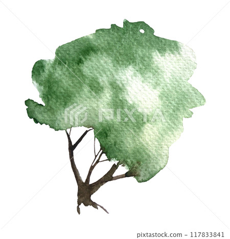 Green tree isolated on white. Hand painted high quality watercolor illustration of a bush. Great as a design element for landscapes, garden theme, wallpaper, posters, eco materials, cards, tote bags Green tree isolated on white. Hand painted high quality watercolor illustration of a bush. Great as a design element for landscapes, garden theme, wallpaper, posters, eco materials, cards, tote bags 117833841