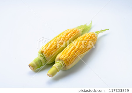 Sweet corn 4 Sweet corn 4 117833859